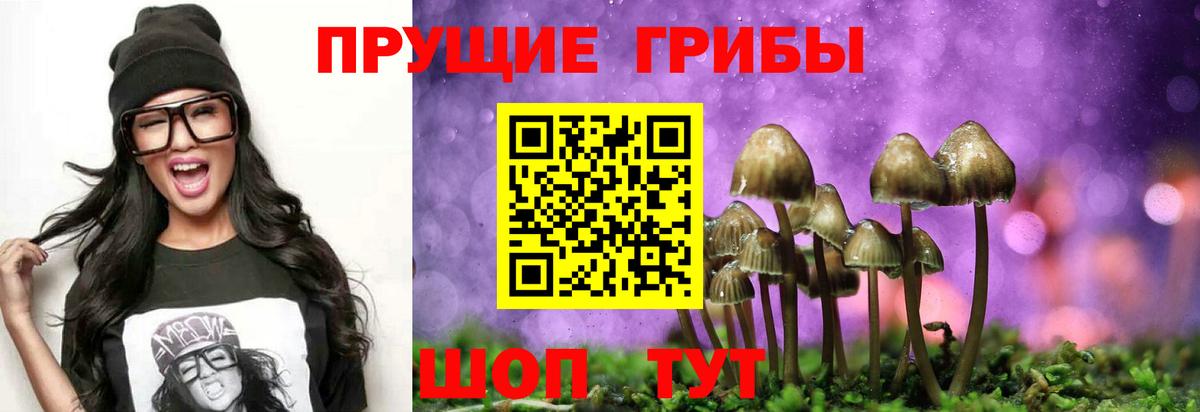 Галлюциногенные грибы Psilocybe  Вход с VPN  Лысьва 